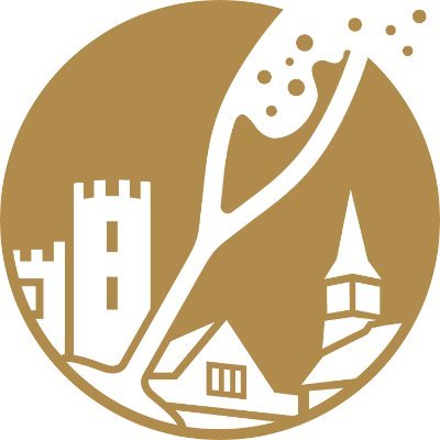 Private bespoke tours of award-winning sparkling wine vineyards and wineries in Hampshire, West Sussex and the Surrey Hills.