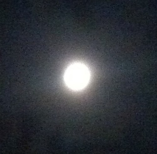 GillOffshore001's profile picture. 