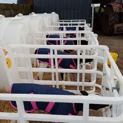 David Minish (@wws_d ) Proud Husband and father. Spare time spent playing about with cows or steel. Yorkshire Holstein Club Chairperson. David Minish (@wws_d )