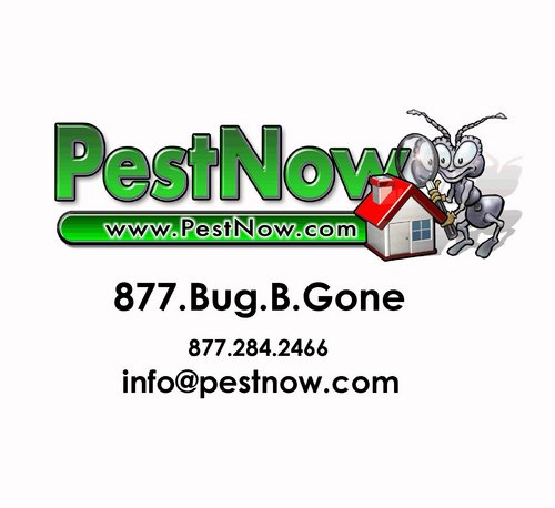 PestNow has offices in Virginia and Maryland serving the needs of Homeowners and realtors in the DC Metro Area.