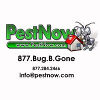PestNow (@pestnow) 's Twitter Profile