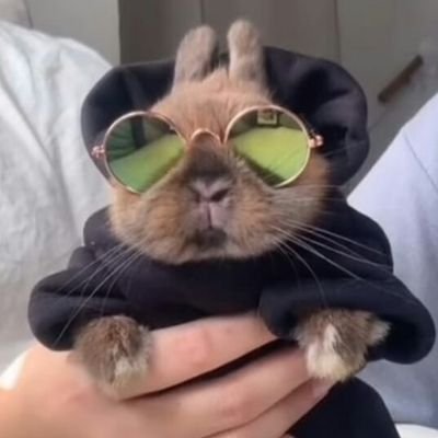 ModumDk3's profile picture. 