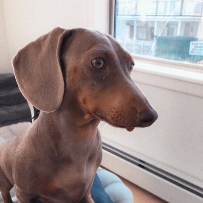 LinkinJoFalcon's profile picture. 