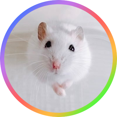 マロ Hamster Maro Twitter