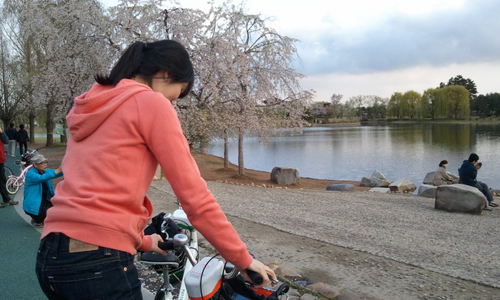 musictree129's profile picture. 