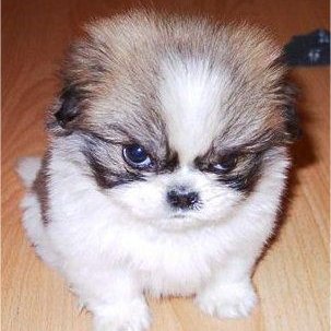 mrcandle01's profile picture. helo