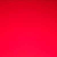Nordica Ayers ❤️ Memecoin (@ayersnordica) 's Twitter Profile