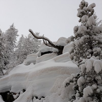 BodratoStefano's profile picture. 