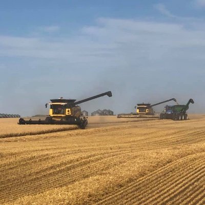 Triple M Farms 
Pulses, oil seeds, cereals, and purebred Charolais cattle
McLeod Trucking 
Hauling sawdust, shavings, and wood chips with 53' walking floors