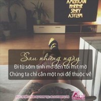 Arlo Ker ❤️ Memecoin (@kerarlo) 's Twitter Profile