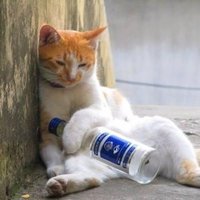Patricia Clowe ❤️ Memecoin (@clowepatricia) 's Twitter Profile