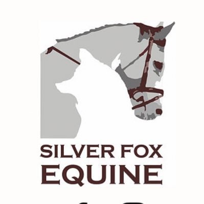 Silver Fox Equine