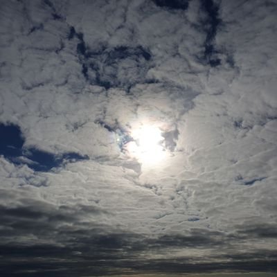 bartemar's profile picture. 