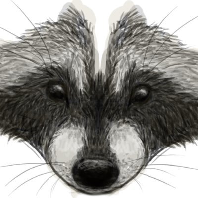 CinnamonRaccoonArtworksさんのプロフィール画像