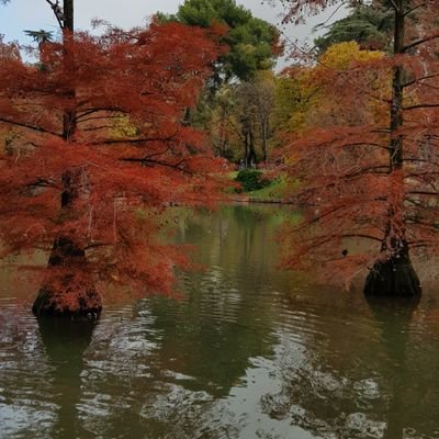 partyclandesti's profile picture. un poquito de alegría en estos tiempos