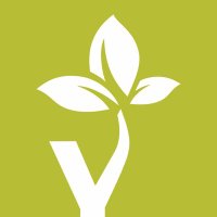 Yoga Tree Studios (@yoga_tree) 's Twitter Profile