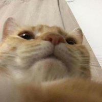 Chris🇷🇺 (@chris35225093) 's Twitter Profile