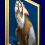 Guinea Pig Disease (@diseasepig) 's Twitter Profile Photo Guinea Pig Disease (@diseasepig) 's Twitter Profile Photo