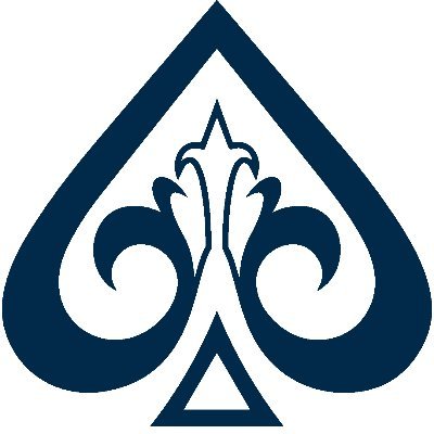 SaraAces's profile picture. Media / Merch / Tour Manager 🌻 🌻 🌻