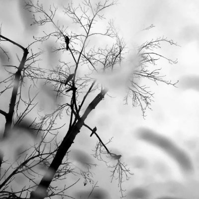 ferdoos886's profile picture. اللهَّم إني أسالك توفيقاً في طريقي وراحه في نفسي وتيسيراً لأمري، ربي أعوذ بك من شتات الأمر ومسّ الضُّر و ضيق الصدر…🩵