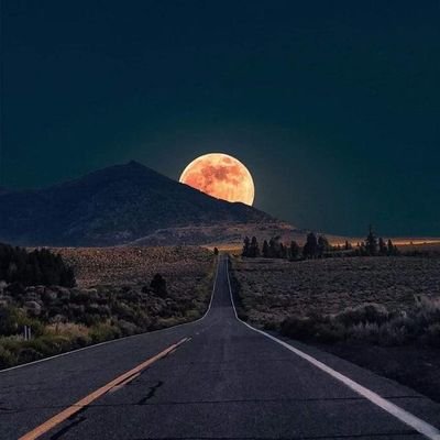 ChahmoutHamza's profile picture. إحترامي🤝لناس😇لا يعني أني بحاجة إليهم 
؛مجرد مبدأ تعلمته من تربيتي🔥💓