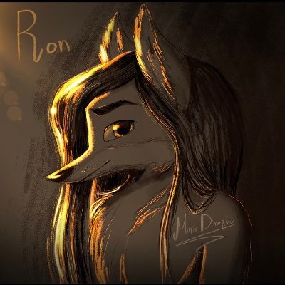 timmさんのプロフィール画像
