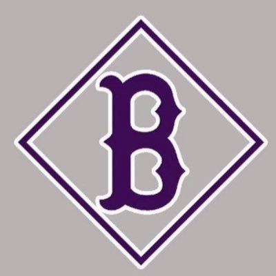 Battlefield Baseball. This website is not managed, approved, or sponsored by Prince William County Schools