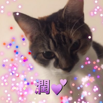 かものはしこ Nglfnt5 Twitter