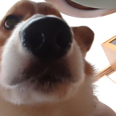 .さんのプロフィール画像