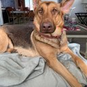 eric immel - @ericimmel3 - Twitter