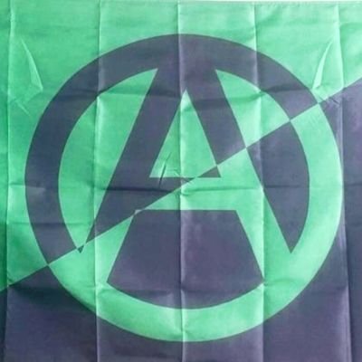 Green party cand.
neo-anarchist, neo-tito, Green, for true, viable, organic communities, communities of communities, libertarian municipalism