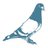 Audio Pigeon