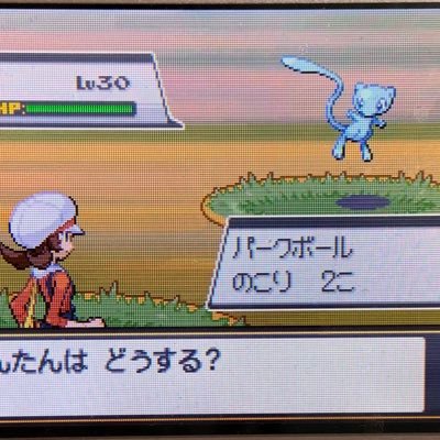 何でも揃う ポケモンbw 全ポケモン色違いコンプ 携帯用ゲームソフト 何でも揃う ポケモンbw 全ポケモン色違いコンプ 携帯用ゲームソフト