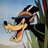 Thee_Thorne's profile image