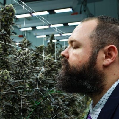 The Leafy Lawyer at WholesomeCo | Time to end cannabis prohibition