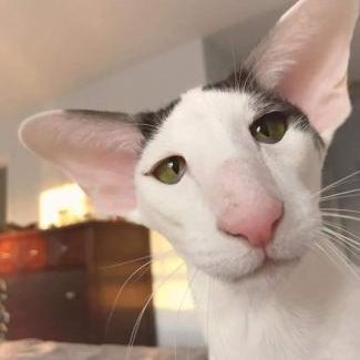 XLonelykid's profile picture. Hey