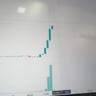 cryptopro0's profile picture. 