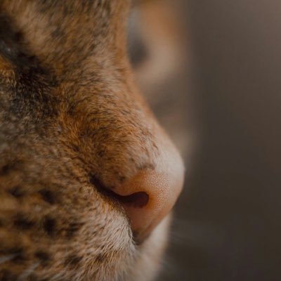 MarySergeevas's profile picture. Правительство должно быть таким, чтобы люди могли не бояться друг друга