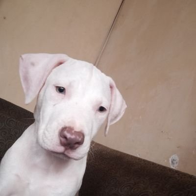 cjv16_'s profile picture. 🥃🍻