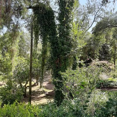 satorisan777's profile picture. 