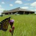 LivingPrairieMuseum (@livingprairie) Twitter profile photo