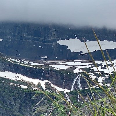 lindenbeach's profile picture. 