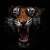 Mark Broyles (@coach_broyles) Twitter profile photo Mark Broyles (@coach_broyles) Twitter profile photo