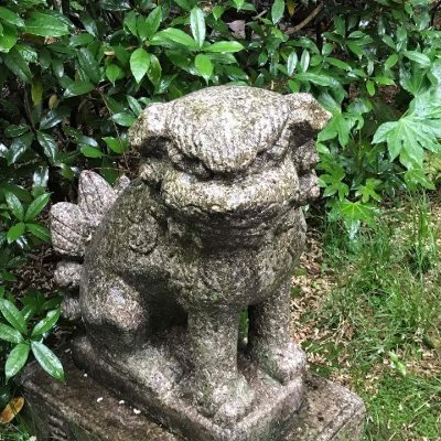 グルメ/ 馬 / 位置ゲー(Ingress・Enl 、モンスターハンターNow休止中)/ 仕事(すこし)/ その他ごちゃ混ぜ☆/ もっぱらROM専です。/ 無言フォロー失礼します。/ DM見ませんm(__)m