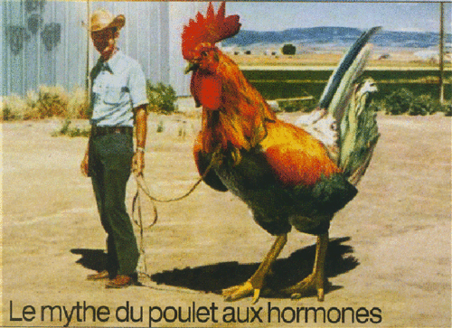 devmagu's profile picture. 