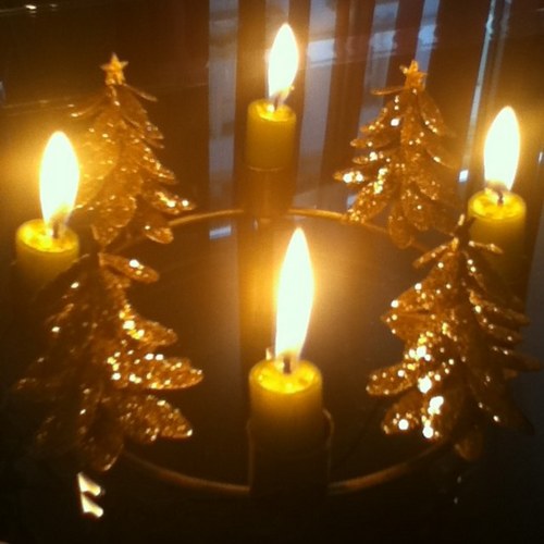 BtearB's profile picture. life enjoyer, inspiration giver, happiness sharer