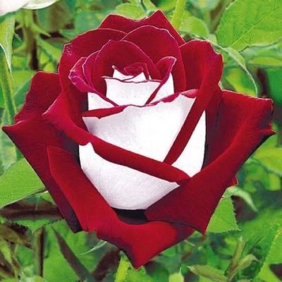 tkly02020's profile picture. 