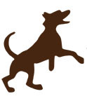 Smartie Dog is a company of dog lovers! We sell affordable agility equipment as well as safety products like light-up dog collars and car harnesses.