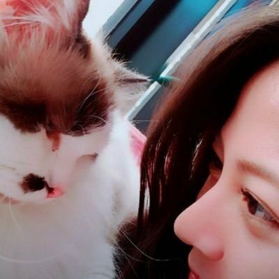 maho910t's profile picture. 営業成績ノミネートを最後に毎日200人の経歴を拝見したり従業員の管理をする人事に転身🙆好きな人達と好きな仕事をしています。経験業界⇢医療機器,人材,不動産,BPO,RPO,ソフトウェア,IT,コンサル*国家資格キャリアコンサルタント有資格