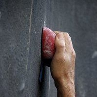 scimgr's profile picture. Science Manager, Data Enthusiast, Believer in Rational Reasoning